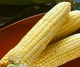 Насіння кукурудзи Добриня F1 100 шт. Lark Seeds - зображення 2