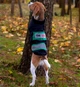Жилетка для собак DogClub Sven L Black-Green - изображение 2