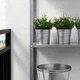 Штучна рослина в горщику , для приміщення/вулиці Солейролія FEJKA IKEA 903.953.37 - зображення 3