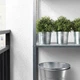 Штучна рослина в горщику , Розмарин FEJKA IKEA 903.821.13 - зображення 2