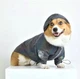 Куртка-ветровка светоотражающая для собак средних пород DogClub RTX 3XL Gray - изображение 1