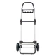 Сумка-візок Rolser I-Max MF 2LRSG 43 л Lima (929358) - зображення 2