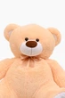 Ведмедик Том BigMishki T-160-PE 150 см Персиковий (2000904602964) - изображение 2