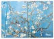 Скетчбук Manuscript V. Gogh 1890 Plus A5 Чистые 160 страниц с открытым переплетом (M - VG1890+) - изображение 5