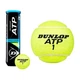 Теннисный мяч DUNLOP ATP CHAMPIONSHIP 4Ball - изображение 1