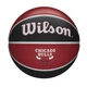 Универсальный баскетбольный мяч Wilson NBA Team Tribute(WTB1300XBCHI - Chicago Bulls) 7 - изображение 1