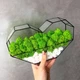 Моссариум сердце со стабилизированым мхом MiNature Moss - изображение 2