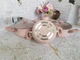 Набор посуды Oms 3027-Pink 6 предметов розовый - изображение 5