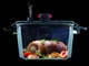 Скороварка WOLL 24 см 5 л Diamond Active Lite Induction (W124DALI) - зображення 2