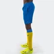 Шорты Joma Miami Blue 100785.700 L - изображение 4