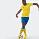 Шорты Joma Miami Blue 100785.700 L - изображение 6
