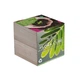 Подарочный набор для выращивания растений экокуб FLORA CUBE "Мимоза стыдливая" - изображение 2