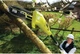 Piła łańcuchowa RYOBI RPP755E Oregon 220V, 750W, 25 cm, 2.7 m (5133002321) - obraz 2