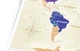 Скретч-карта світу 1DEA.me Travel Map Gold (GWUA) UA 80*60 см - изображение 7