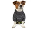 Комбинезон для маленьких пород собак RAIN SM Pet Fashion BGL-PF-1002 - изображение 2