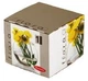 Ваза Flora Акваріум 100мл 1шт - зображення 4