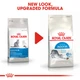 Сухой корм Royal Canin Indoor для котов от 1 до 7 лет живущих в помещении 10 кг (3182550706940) - изображение 4
