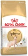 Сухой корм Royal Canin Sphynx Adult для котов породы сфинкс от 12 месяцев 10 кг - изображение 1