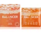 Протеиновый коктейль GreenWay BALANCER со вкусом «Соленая карамель», 10 шт. (01211) - изображение 1