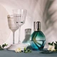 Набір келихів Cristal d'arques Paris Macassar (6704717) - зображення 3