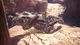 Ключ активации Steam | Monster Hunter: World - изображение 5