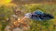 Ключ активації Steam | Destroy All Humans! - зображення 6