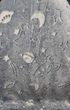 Плед "Звёзды, ракеты" Magic Blanket светящееся в темноте 150 x 180 см Плюшевый плед - изображение 3