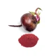 Буряк ILoveFruits порошок 50 г - зображення 2