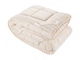 Одеяло DOTINEM CASSIA GRANDIS микрофибра зимнее 175х210 см (211379-2) - изображение 1