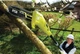 Высоторез Ryobi RPP750S 220В, 750 Вт, 20 см, 2.7 м (5133002228) - изображение 4