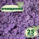 Очищенный стабилизированный мох ягель Nordic moss Эрика 25 грамм - изображение 1