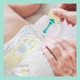 Подгузник Pampers Premium Care Mini Размер 2 (4-8 кг) 240 шт (8001090379474) - зображення 4