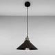 Светильник подвесной Levistella 7526855-1 BK (300) черный - изображение 1