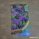 Насіння статиця (кермек, лімоніум) Moravoseed Рожевий 0,2 г - зображення 3