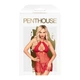 Комплект сорочка у стилі 60-х та трусики з доступом Penthouse - Libido Boost Red M/L - зображення 3