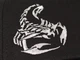 Бейсболка Talisman SCORPIONS Logo Черный (RB163) - изображение 5