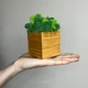 Кубик светлое дерево со стабилизированным мхом микс зеленый салатовый 7*7 см - изображение 2