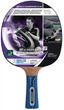Ракетка для настільного тенісу Donic TT-Bat Waldner 800 (754882) - зображення 1