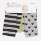 Дитячі колготки 3-9 місяців бавовняні Conte Kids Tip-Top 14С-79СП-358 62-74 см Сірі (4810226060520) - зображення 2