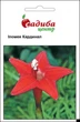 Іпомея Hem Zaden Кардинал, 0,5 г Садиба Центр - зображення 1