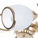 Люстра флористика на 5 плафонов LK-155S/5 FGD Brille 187632 - изображение 2