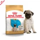 Сухой корм Royal Canin Pug Puppy корм для щенков мопса от 2 до 10 месяцев, 1.5 кг (41300151) - изображение 1