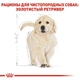 Сухий корм Royal Canin Golden Retriever Puppy - для цуценят голден ретрівера до 15 міс., 12 кг (39791201) - зображення 4