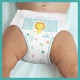 Подгузник Pampers трусики Pants Giant Размер 6 (15+ кг) 48 шт (8006540069202) - изображение 8