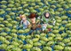 Пазл Clementoni Impossible Puzzle Disney Toy Story 4 История игрушек 4 -1000 шт. (39499) - изображение 2