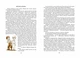 Одиниця з обманом - Всеволод Нестайко (9789668182501) - изображение 2