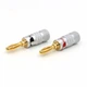 Штекеры акустические коннекторы типа Банан Nakamichi Banana Plug 4 мм (комплект 2 шт.) (48511) - изображение 6