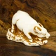Статуэтка Нэцкэ Netsuke Бык ручная работа Гипс 6,3x4x3.2 см Натуральный (00755) - изображение 7