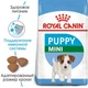 Сухой корм Royal Canin Mini Puppy – сухой корм для щенков маленьких пород, 8 кг (30000801) - изображение 2