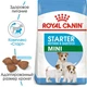 Сухой корм Royal Canin Mini Starter - жесткий корм для щенков мини пород, 8 кг (2990080) - изображение 2